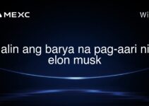 alin ang barya na pag-aari ni elon musk alin ang barya na pag-aari ni elon musk