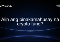 Alin ang pinakamahusay na crypto fund? Alin ang pinakamahusay na crypto fund?