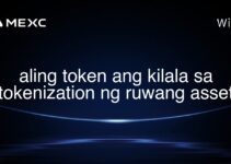 aling token ang kilala sa tokenization ng ruwang asset aling token ang kilala sa tokenization ng ruwang asset
