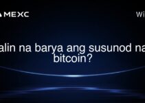 alin na barya ang susunod na bitcoin? alin na barya ang susunod na bitcoin?