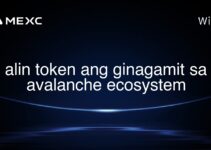 alin token ang ginagamit sa avalanche ecosystem alin token ang ginagamit sa avalanche ecosystem