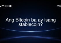 Ang Bitcoin ba ay isang stablecoin? Ang Bitcoin ba ay isang stablecoin?