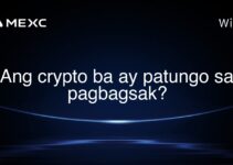 Ang crypto ba ay patungo sa pagbagsak? Ang crypto ba ay patungo sa pagbagsak?