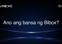 Ano ang bansa ng Bibox? Ano ang bansa ng Bibox?