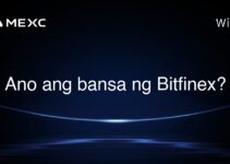 Ano ang bansa ng Bitfinex? Ano ang bansa ng Bitfinex?