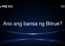 Ano ang bansa ng Bitrue? Ano ang bansa ng Bitrue?