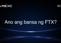 Ano ang bansa ng FTX? Ano ang bansa ng FTX?