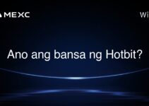 Ano ang bansa ng Hotbit? Ano ang bansa ng Hotbit?