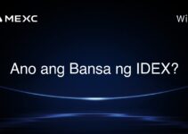 Ano ang Bansa ng IDEX? Ano ang Bansa ng IDEX?