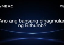 Ano ang bansang pinagmulan ng Bithumb? Ano ang bansang pinagmulan ng Bithumb?