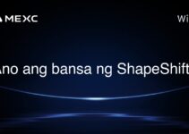 Ano ang bansa ng ShapeShift? Ano ang bansa ng ShapeShift?