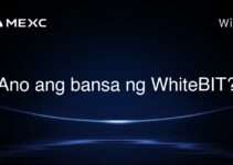 Ano ang bansa ng WhiteBIT? Ano ang bansa ng WhiteBIT?