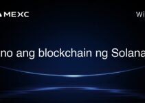 Ano ang blockchain ng Solana? Ano ang blockchain ng Solana?