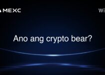 Ano ang crypto bear? Ano ang crypto bear?
