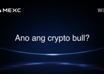 Ano ang crypto bull? Ano ang crypto bull?