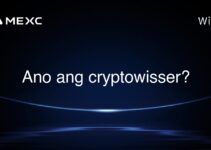 Ano ang cryptowisser? Ano ang cryptowisser?