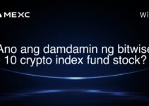 Ano ang damdamin ng bitwise 10 crypto index fund stock? Ano ang damdamin ng bitwise 10 crypto index fund stock?