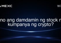 Ano ang damdamin ng stock ng kumpanya ng crypto? Ano ang damdamin ng stock ng kumpanya ng crypto?