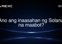 Ano ang inaasahan ng Solana na maabot? Ano ang inaasahan ng Solana na maabot?