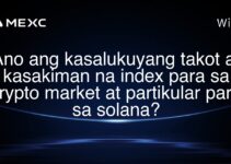 Ano ang kasalukuyang takot at kasakiman na index para sa crypto market at partikular para sa solana? Ano ang kasalukuyang takot at kasakiman na index para sa crypto market at partikular para sa solana?