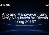 Ano ang Mangyayari Kung Ako’y Nag-invest sa Bitcoin noong 2016? Ano ang Mangyayari Kung Ako’y Nag-invest sa Bitcoin noong 2016?