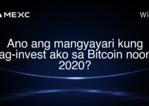 Ano ang mangyayari kung nag-invest ako sa Bitcoin noong 2020? Ano ang mangyayari kung nag-invest ako sa Bitcoin noong 2020?