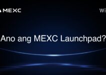 Ano ang MEXC Launchpad? Ano ang MEXC Launchpad?