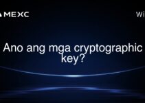 Ano ang mga cryptographic key? Ano ang mga cryptographic key?