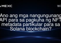 Ano ang mga nangungunang API para sa pagkuha ng NFT metadata partikular para sa Solana blockchain? Ano ang mga nangungunang API para sa pagkuha ng NFT metadata partikular para sa Solana blockchain?