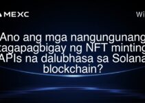 Ano ang mga nangungunang tagapagbigay ng NFT minting APIs na dalubhasa sa Solana blockchain? Ano ang mga nangungunang tagapagbigay ng NFT minting APIs na dalubhasa sa Solana blockchain?