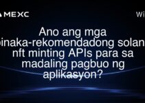 Ano ang mga pinaka-rekomendadong solana nft minting APIs para sa madaling pagbuo ng aplikasyon? Ano ang mga pinaka-rekomendadong solana nft minting APIs para sa madaling pagbuo ng aplikasyon?