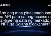 Ano ang mga pinakamahusay na API para sa pag-access ng real-time na data ng merkado ng NFT sa Solana blockchain? Ano ang mga pinakamahusay na API para sa pag-access ng real-time na data ng merkado ng NFT sa Solana blockchain?