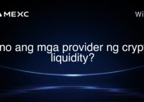 Ano ang mga provider ng crypto liquidity? Ano ang mga provider ng crypto liquidity?