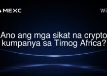 Ano ang mga sikat na crypto kumpanya sa Timog Africa? Ano ang mga sikat na crypto kumpanya sa Timog Africa?
