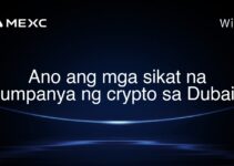 Ano ang mga sikat na kumpanya ng crypto sa Dubai? Ano ang mga sikat na kumpanya ng crypto sa Dubai?
