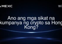 Ano ang mga sikat na kumpanya ng crypto sa Hong Kong? Ano ang mga sikat na kumpanya ng crypto sa Hong Kong?