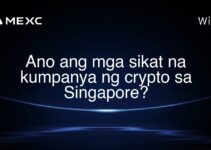 Ano ang mga sikat na kumpanya ng crypto sa Singapore? Ano ang mga sikat na kumpanya ng crypto sa Singapore?
