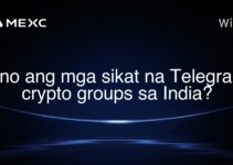 Ano ang mga sikat na Telegram crypto groups sa India? Ano ang mga sikat na Telegram crypto groups sa India?