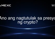 Ano ang nagtutulak sa presyo ng crypto? Ano ang nagtutulak sa presyo ng crypto?