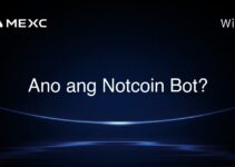 Ano ang Notcoin Bot? Ano ang Notcoin Bot?