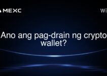 Ano ang pag-drain ng crypto wallet? Ano ang pag-drain ng crypto wallet?