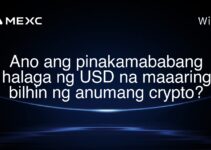 Ano ang pinakamababang halaga ng USD na maaaring bilhin ng anumang crypto? Ano ang pinakamababang halaga ng USD na maaaring bilhin ng anumang crypto?