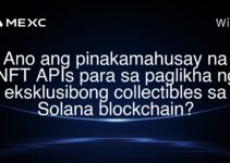 Ano ang pinakamahusay na NFT APIs para sa paglikha ng eksklusibong collectibles sa Solana blockchain? Ano ang pinakamahusay na NFT APIs para sa paglikha ng eksklusibong collectibles sa Solana blockchain?