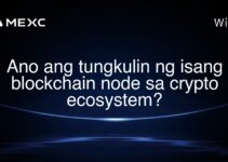 Ano ang tungkulin ng isang blockchain node sa crypto ecosystem? Ano ang tungkulin ng isang blockchain node sa crypto ecosystem?