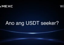 Ano ang USDT seeker? Ano ang USDT seeker?