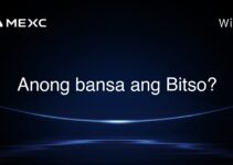 Anong bansa ang Bitso? Anong bansa ang Bitso?