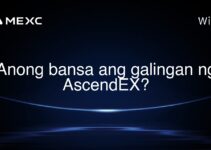 Anong bansa ang galingan ng AscendEX? Anong bansa ang galingan ng AscendEX?