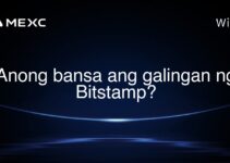 Anong bansa ang galingan ng Bitstamp? Anong bansa ang galingan ng Bitstamp?