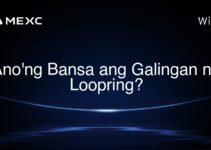 Ano’ng Bansa ang Galingan ng Loopring? Ano’ng Bansa ang Galingan ng Loopring?