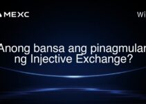 Anong bansa ang pinagmulan ng Injective Exchange? Anong bansa ang pinagmulan ng Injective Exchange?